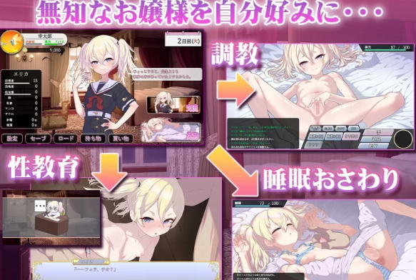 图片[2]-【SLG/AI汉化/PC】 懵懂无知的大小姐 このお嬢様、無知につき [PC+1.1g]-破次元